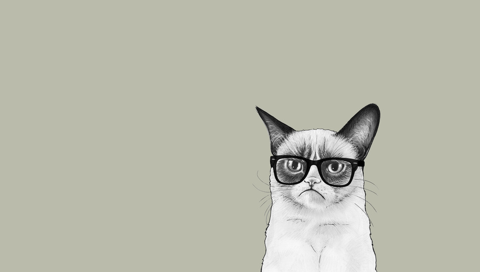 Angry Cat, Cat, Sauce Tartar, Tardar Sauce, Cat, Grumpy - Grumpy Cat Wallpapers Desktop , HD Wallpaper & Backgrounds