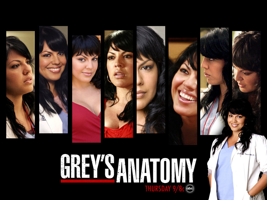 Sara Ramirez In Greys Anatomy Wallpaper - Callie Torres Before And After , HD Wallpaper & Backgrounds