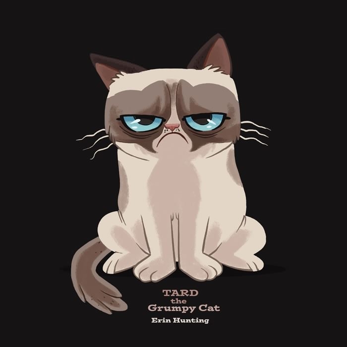Grumpy Cat Wallpaper Hd - Grumpy Cat Erin Hunting , HD Wallpaper & Backgrounds