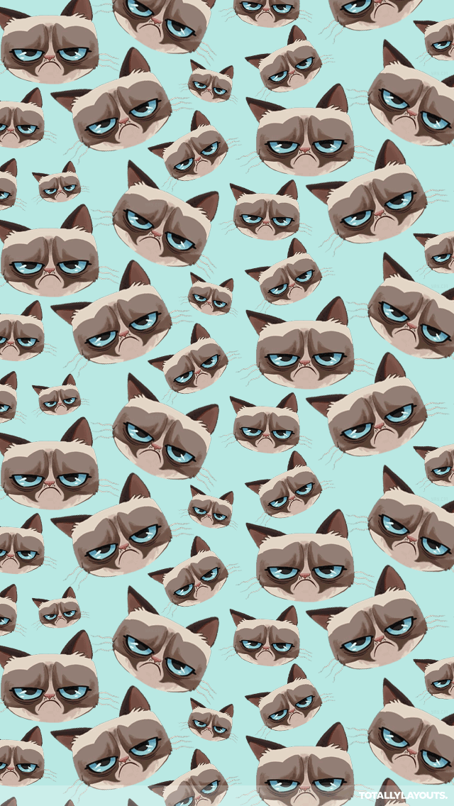 Grumpy Cat Wallpaper For Phone, Top Hdq Grumpy Cat - Kangaroo , HD Wallpaper & Backgrounds
