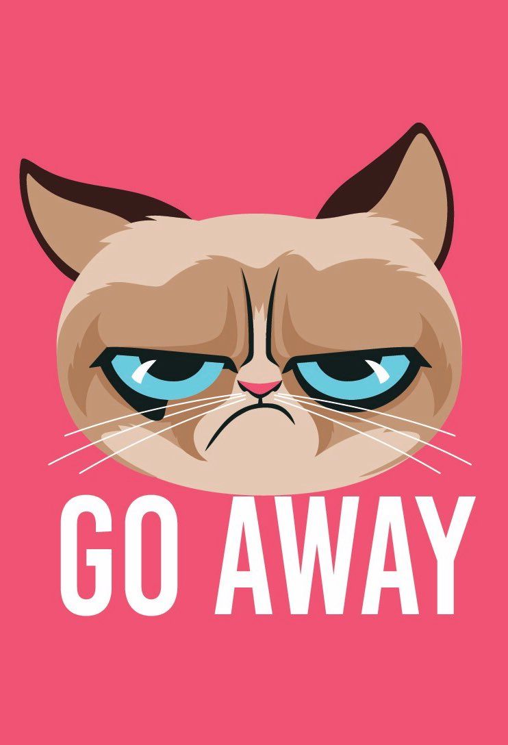 Grumpy Cat On Twitter - Grumpy Cat Wallpaper Iphone , HD Wallpaper & Backgrounds