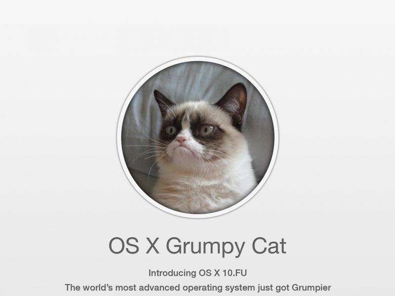 Grumpy Cat Meme Wallpaper - Mac Os X Cat , HD Wallpaper & Backgrounds