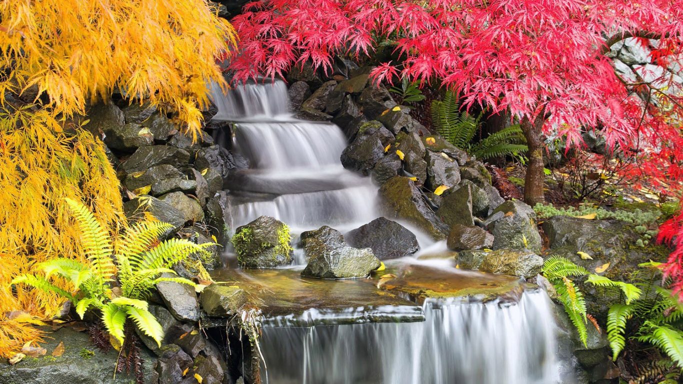 Plants Garden Leaves Autumn Japanese Waterfall Trees - Animated Garden And Waterfall , HD Wallpaper & Backgrounds