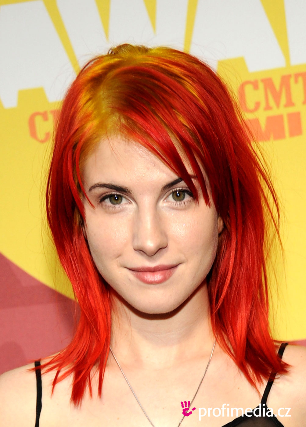 Hd Quality Wallpaper Hayley Williams 189444 Hd Wallpaper