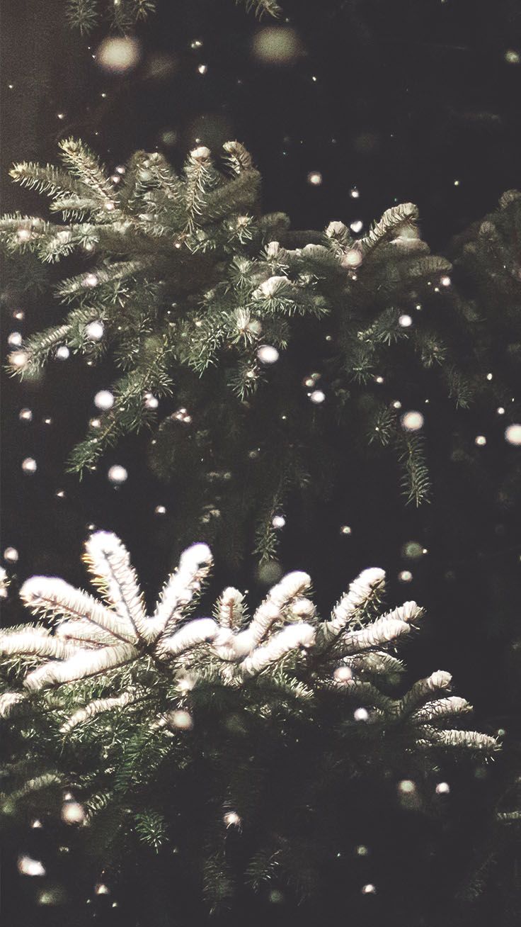 Christmas Iphone Wallpaper Hd