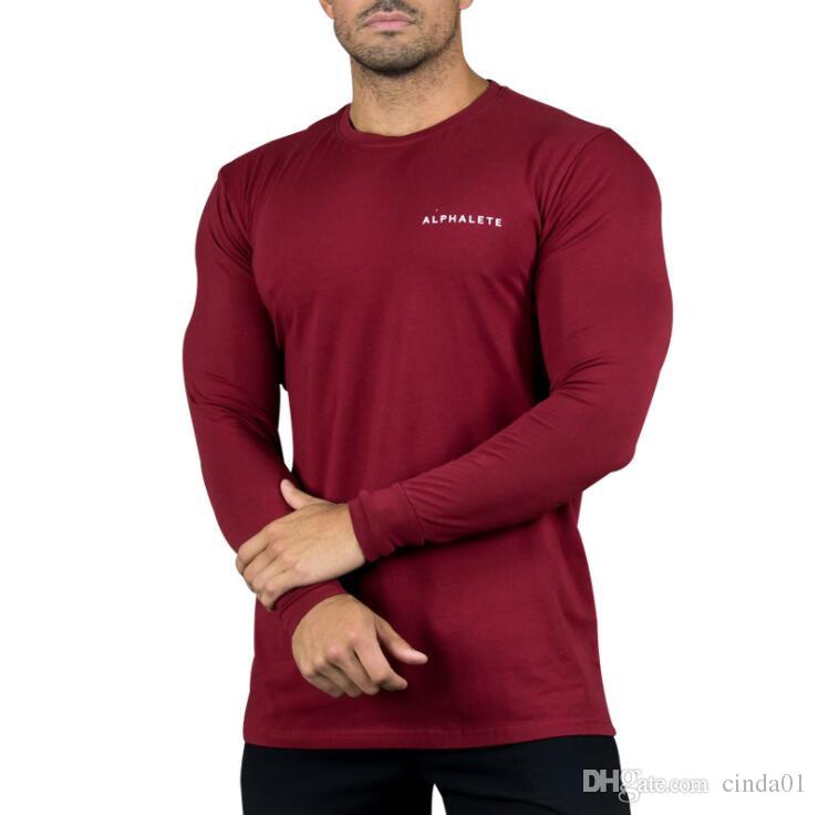 Alphalete Athletic Mens Brand Designer Long Sleeve - Long-sleeved T-shirt , HD Wallpaper & Backgrounds