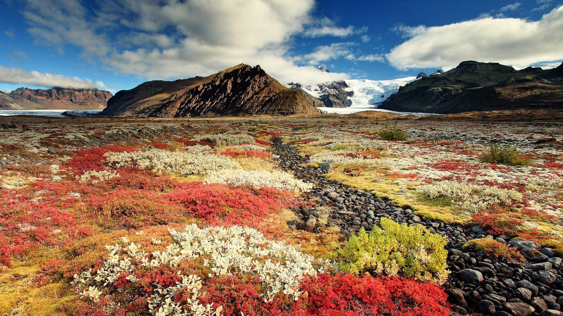 Tundra Wallpaper Gallery - Beautiful Tundra , HD Wallpaper & Backgrounds