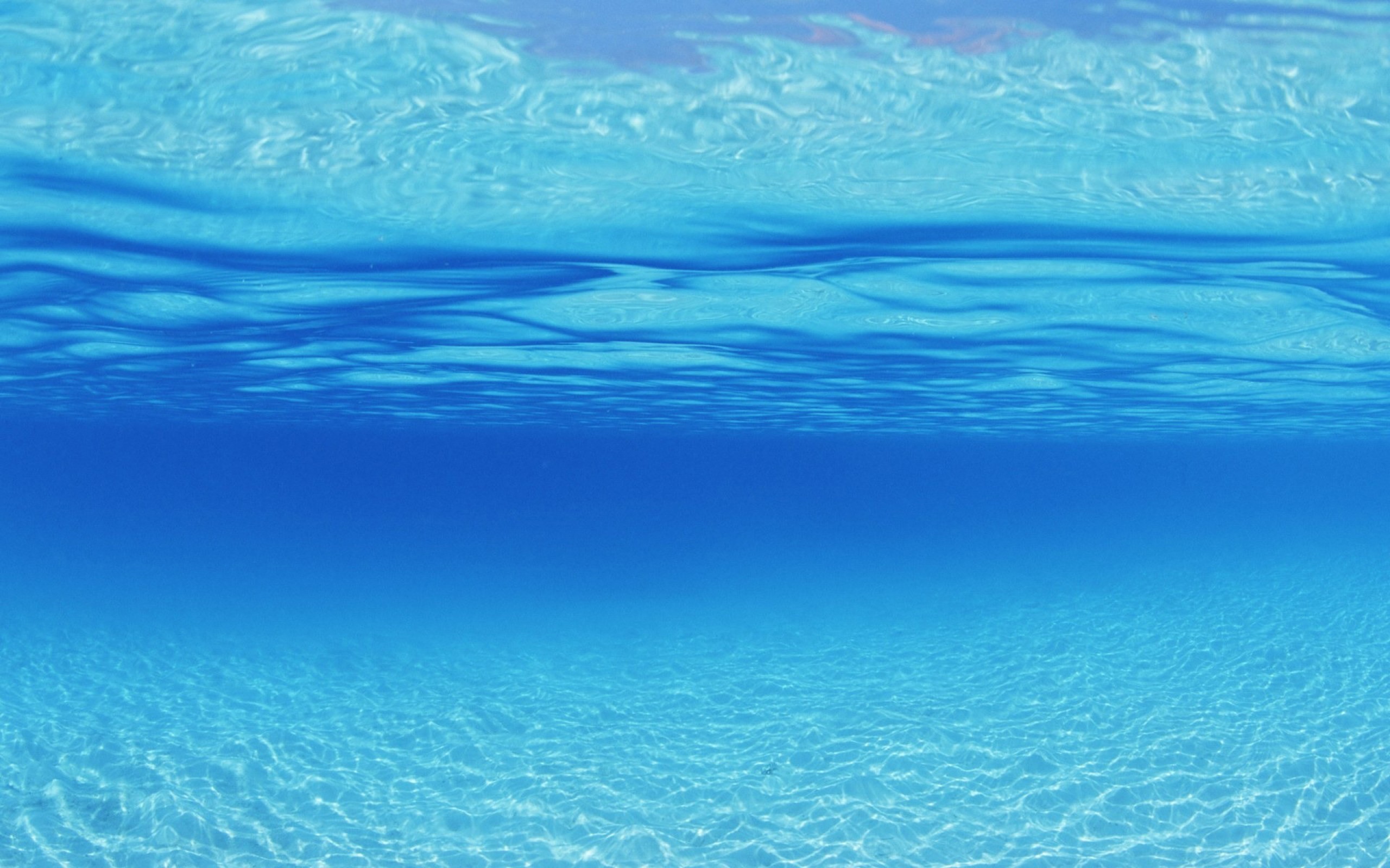 Underwater Sea Backgrounds , HD Wallpaper & Backgrounds