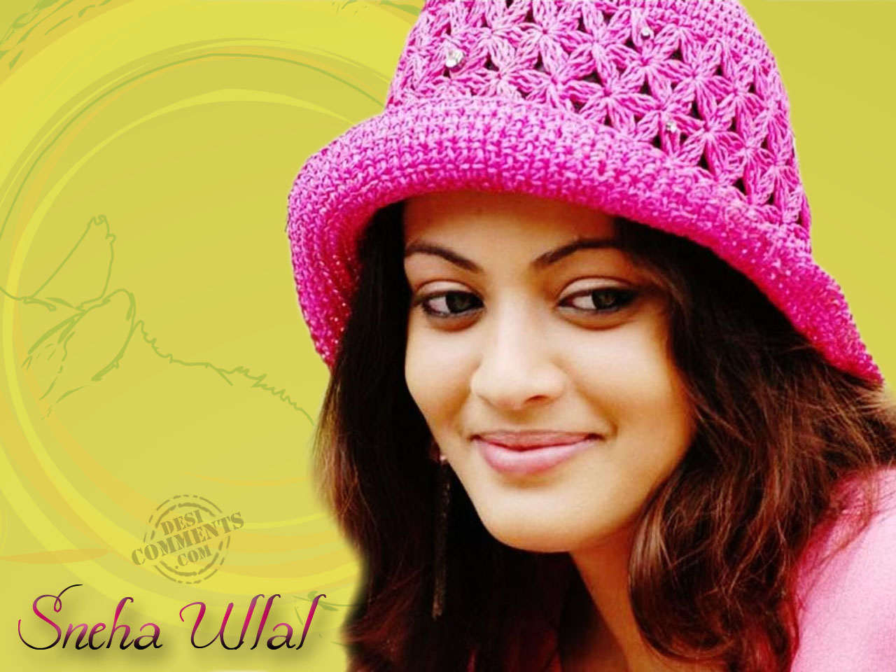 Sneha Ullal Hd Wallpaper - Sneha Ullal , HD Wallpaper & Backgrounds