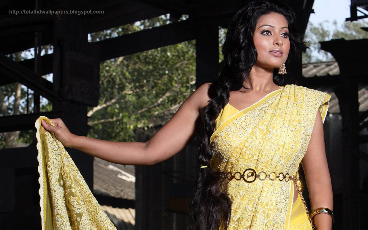 Sneha Hd Wallpapers - Bollywood Actress In Chikankari Sarees , HD Wallpaper & Backgrounds