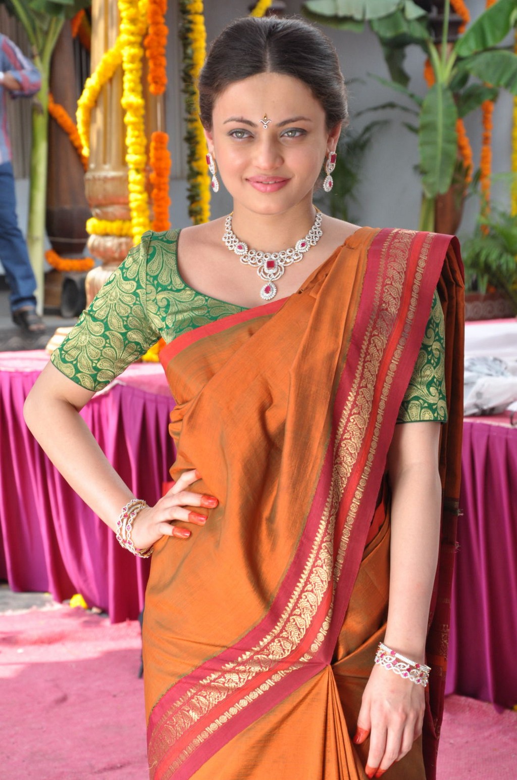 Home » Actress » Sneha Ullal Saree Photos - Silk , HD Wallpaper & Backgrounds