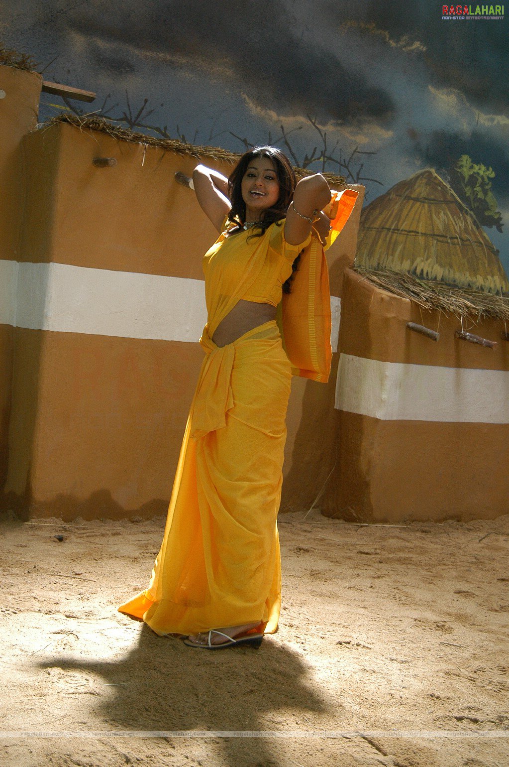 Sneha Photo Gallery/wallpapers - Sneha Hot In Saree , HD Wallpaper & Backgrounds