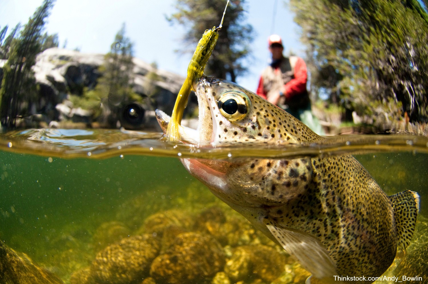 Fishing Wallpaper Hd - Fly Fishing , HD Wallpaper & Backgrounds