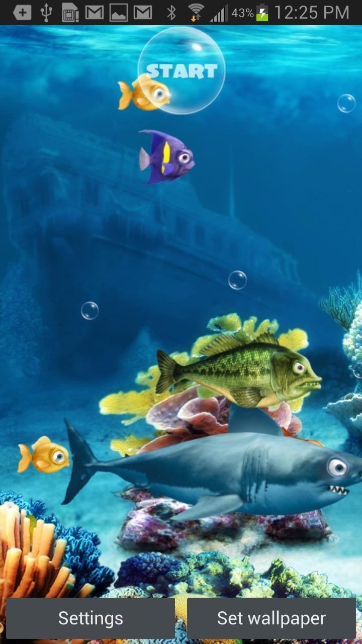 If You Accidentally Eat A Bad Fish, You Lose A Life - Live Wallpaper Download Apk , HD Wallpaper & Backgrounds