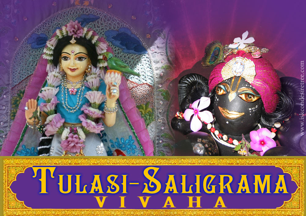 Tulasi-saligrama Vivaha - Tulsi Shaligram Vivah , HD Wallpaper & Backgrounds