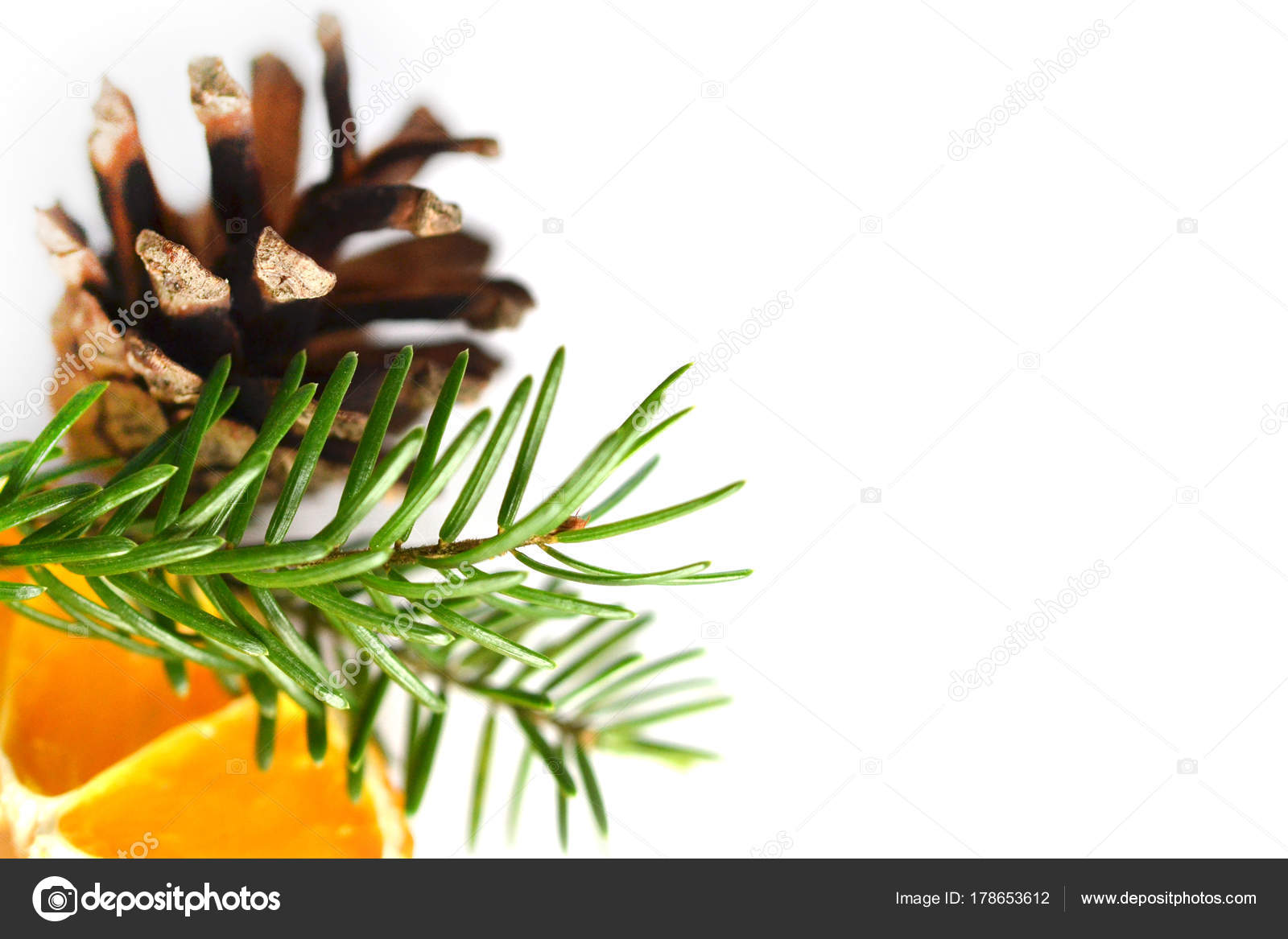 Spruce Or Pine Branch With Orange Slice And Pinecone - Two Needle Pinyon Pine , HD Wallpaper & Backgrounds