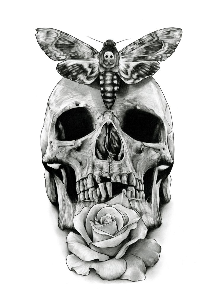 Skull Tattoo Clipart Paper - Skull And Moth Tattoo Design , HD Wallpaper & Backgrounds