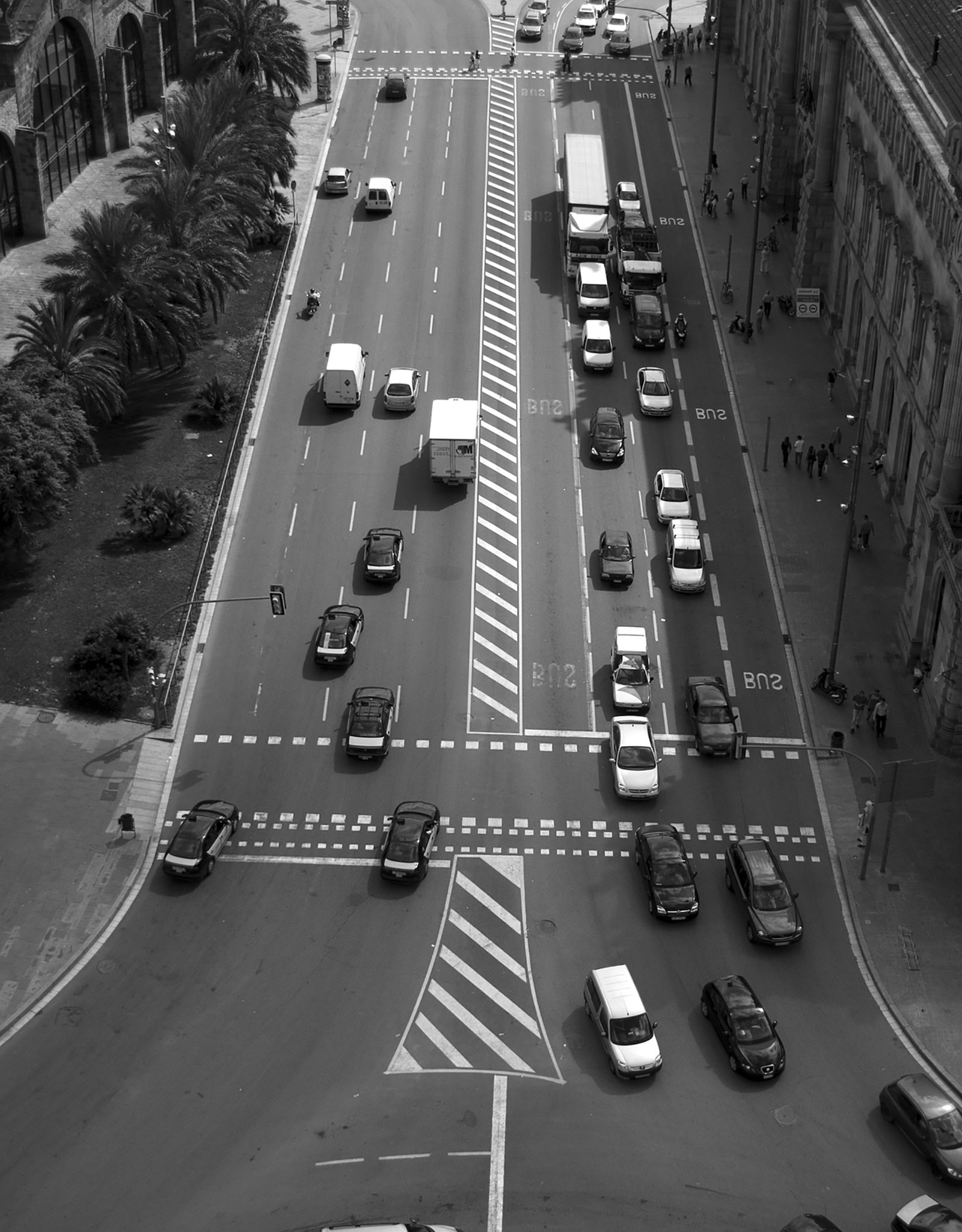 Black, And, White, Cars, Traffic, Palms, Monochrome - Freeway , HD Wallpaper & Backgrounds