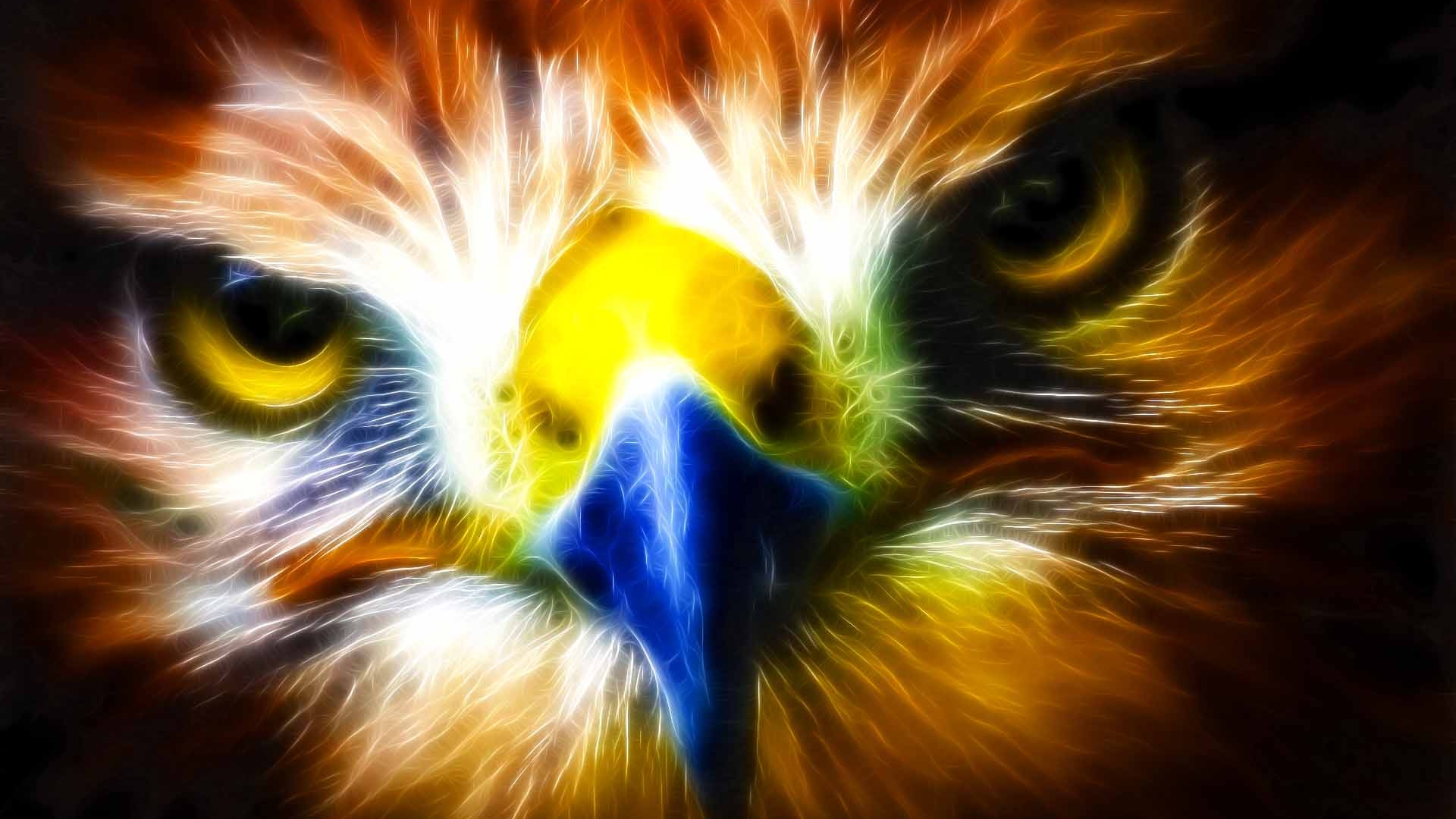 Eagle Hd Wallpaper - West Coast Eagles Eye , HD Wallpaper & Backgrounds