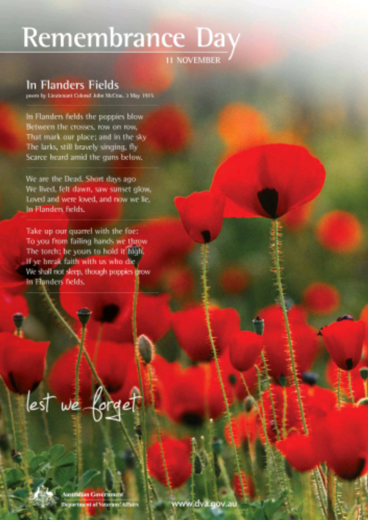 November Wallpaper - Remembrance Day In Flanders Fields , HD Wallpaper & Backgrounds