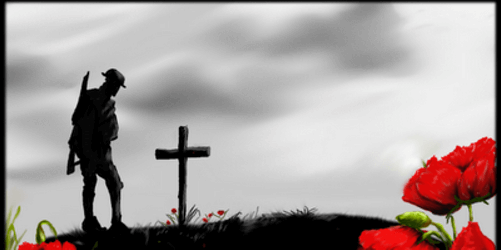 2016 Remembrance Day Images Hd Wallpaper Poppy Pictures - Remembrance Day , HD Wallpaper & Backgrounds