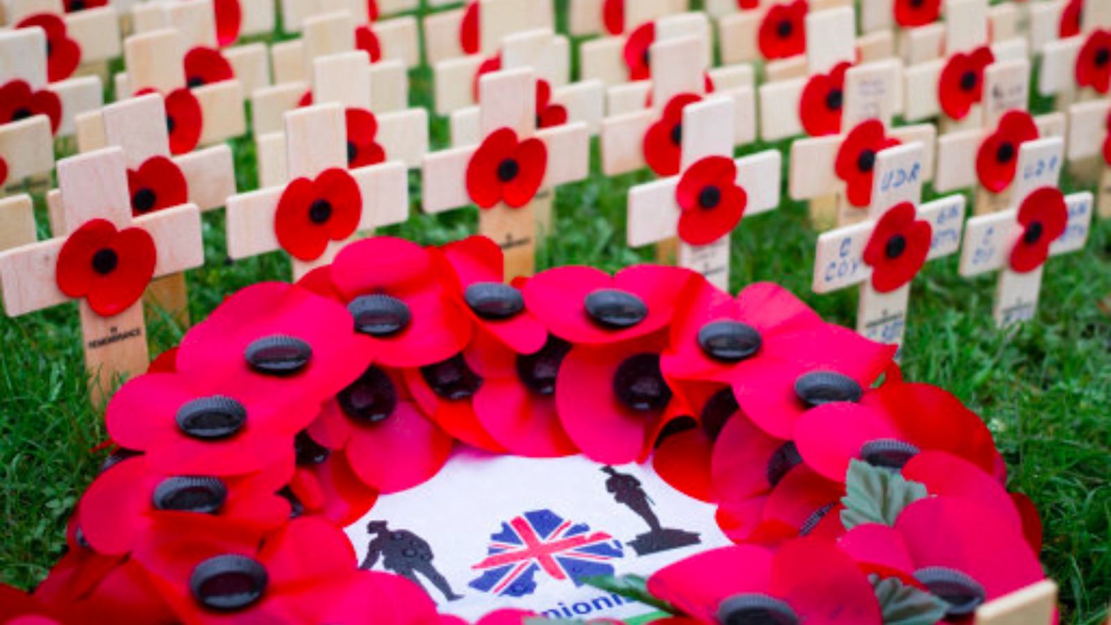 Remembrance Sunday Services Across The Midlands - Poppy , HD Wallpaper & Backgrounds