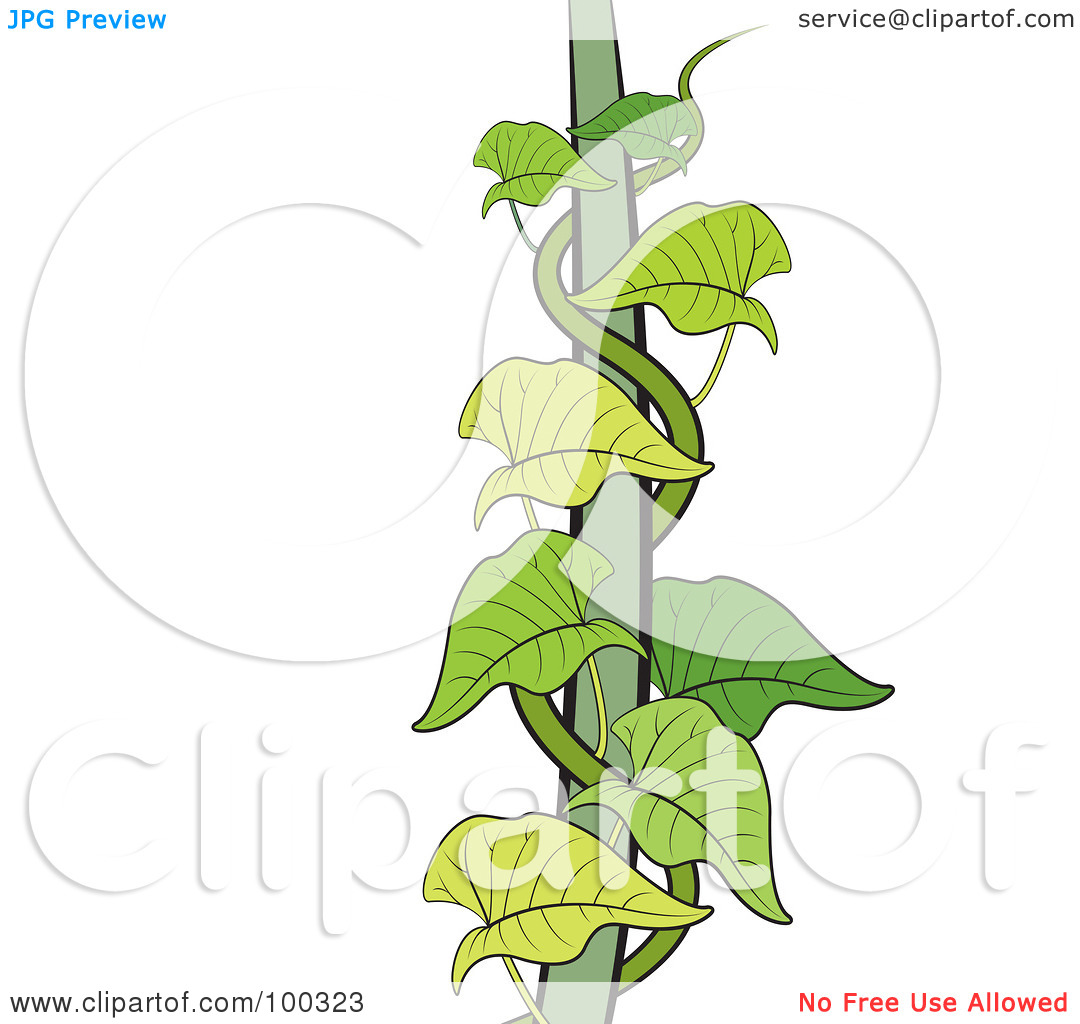 Make Money Clipart Money Tree - Money Plant Images Clipart , HD Wallpaper & Backgrounds