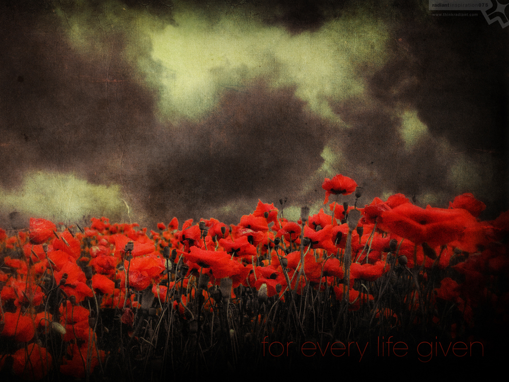 Comments - Powerpoint Remembrance Day Background , HD Wallpaper & Backgrounds