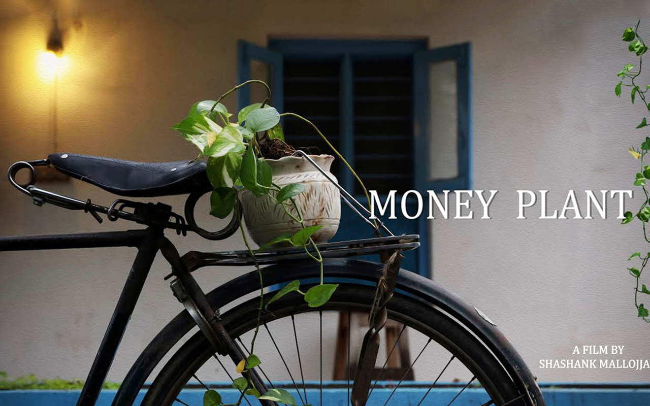 Money Plant Giving Money - Hybrid Bicycle , HD Wallpaper & Backgrounds