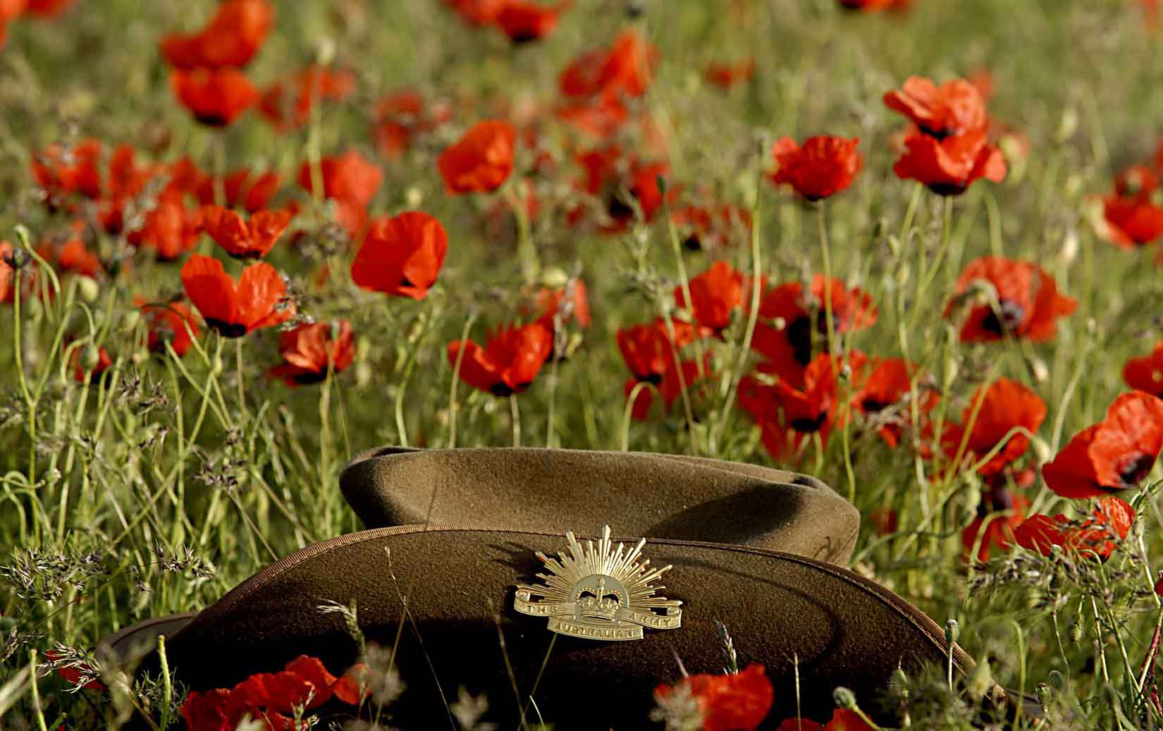 Anzac Day Wallpapers - Remembrance Day Australia Poppy , HD Wallpaper & Backgrounds