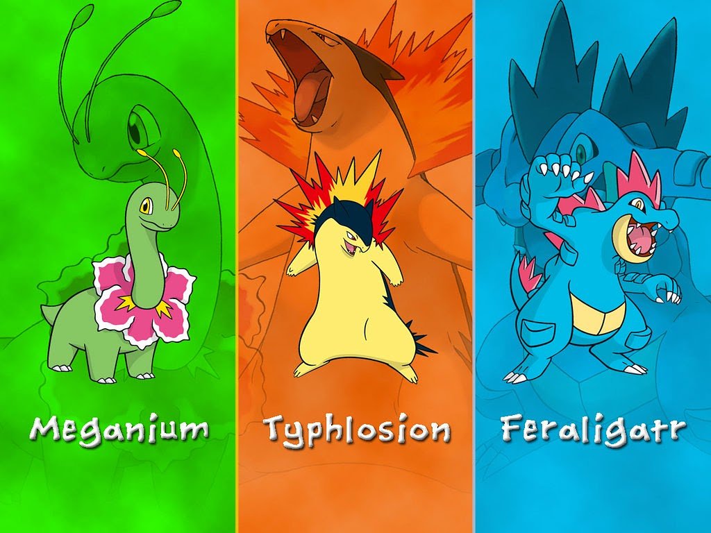 Pokemon Johto Starters Evolutions , HD Wallpaper & Backgrounds