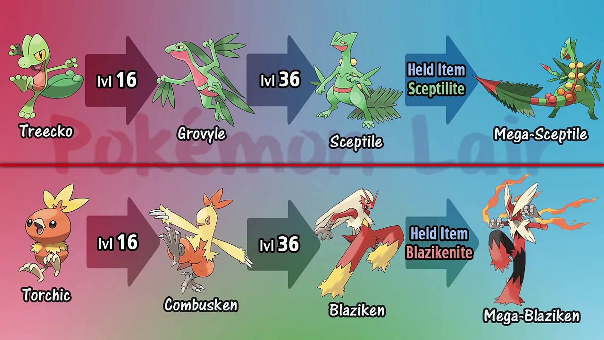 Pokemon Generations 8 Starter Evolutions , HD Wallpaper & Backgrounds