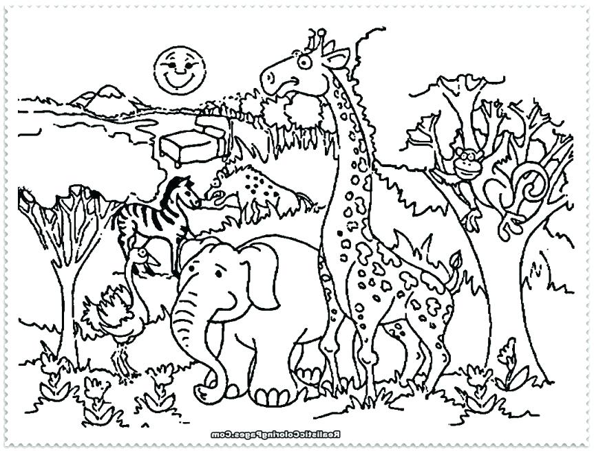 Garchomp Coloring Pages Associated Images For Coloring - Animals In The Zoo Coloring Pages , HD Wallpaper & Backgrounds