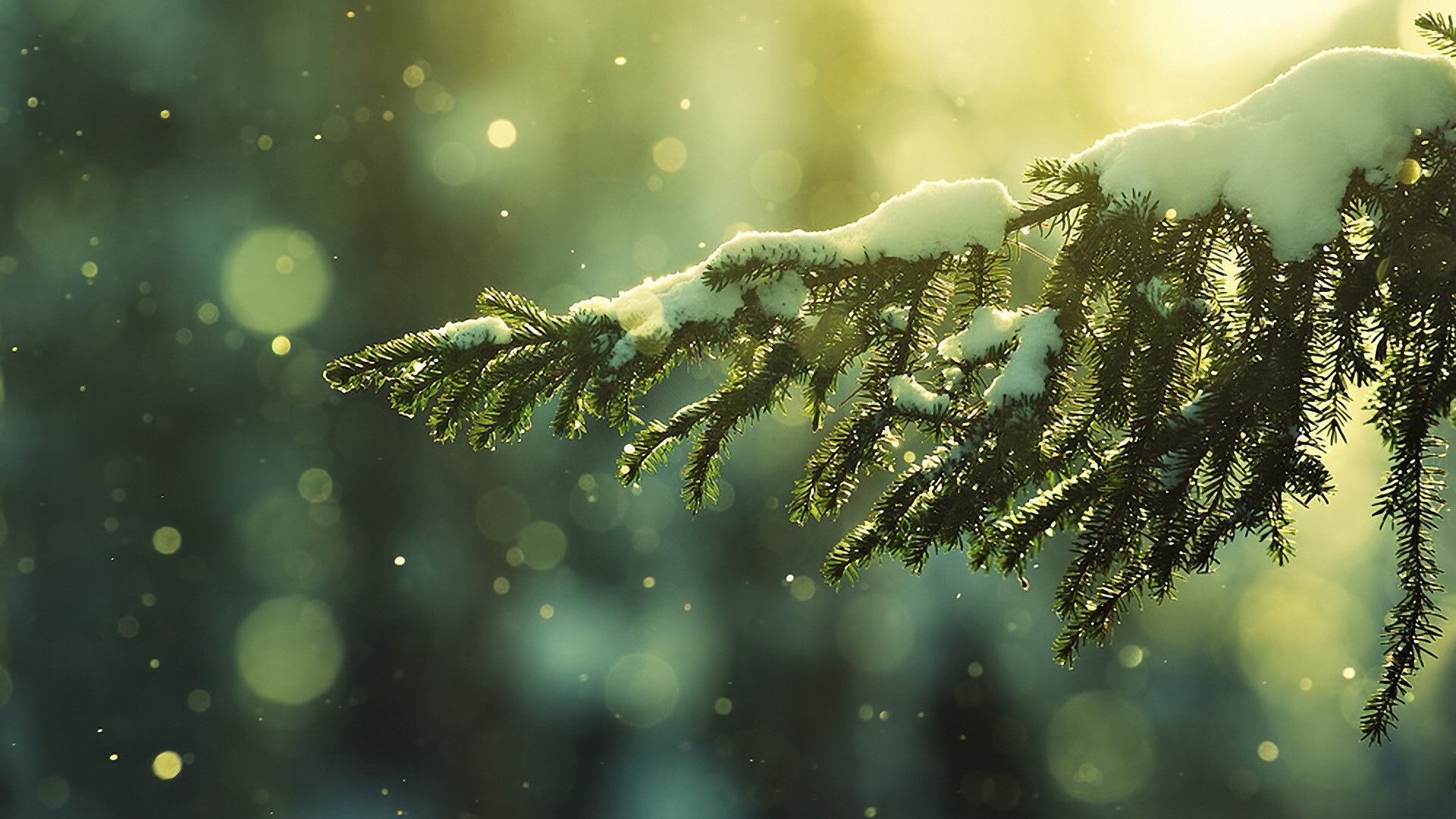 Winter Hd Wallpaper - Winter Desktop , HD Wallpaper & Backgrounds