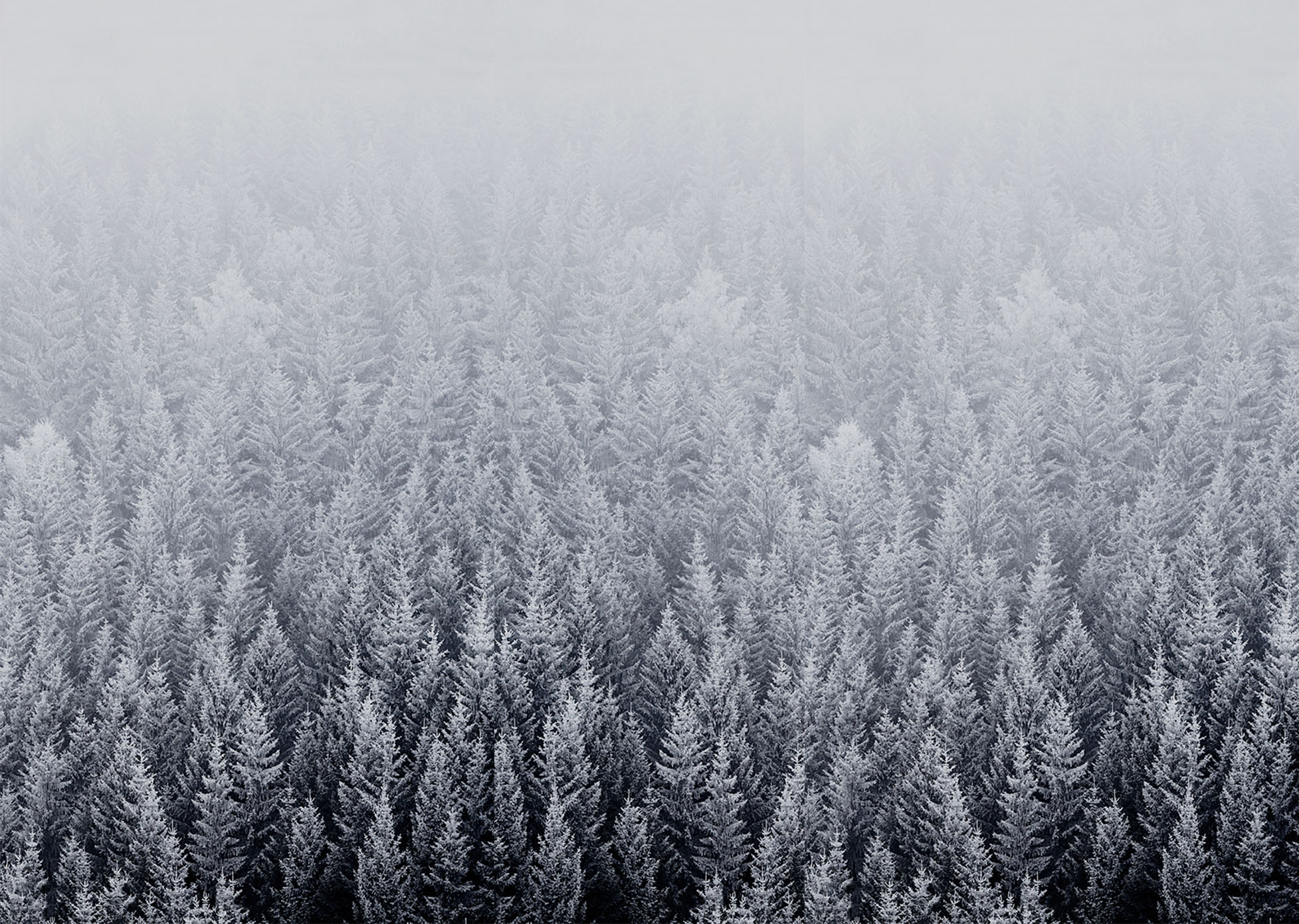 More Nature Desktop Wallpapers - Mac Desktop Background Winter , HD Wallpaper & Backgrounds
