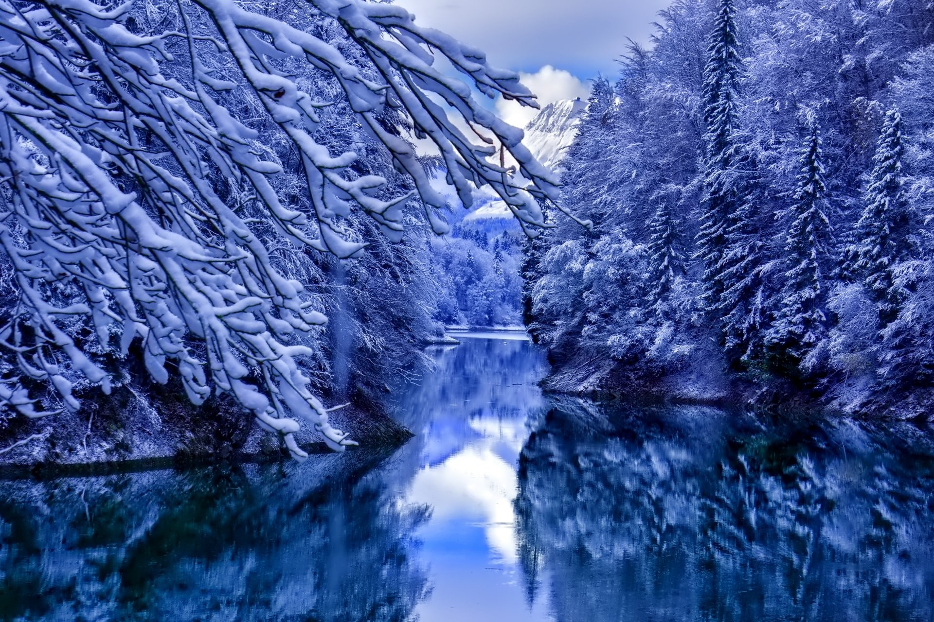 Snow, Nature Landscape, Flower Backgrounds, Wallpaper,hd - Natur Winter , HD Wallpaper & Backgrounds