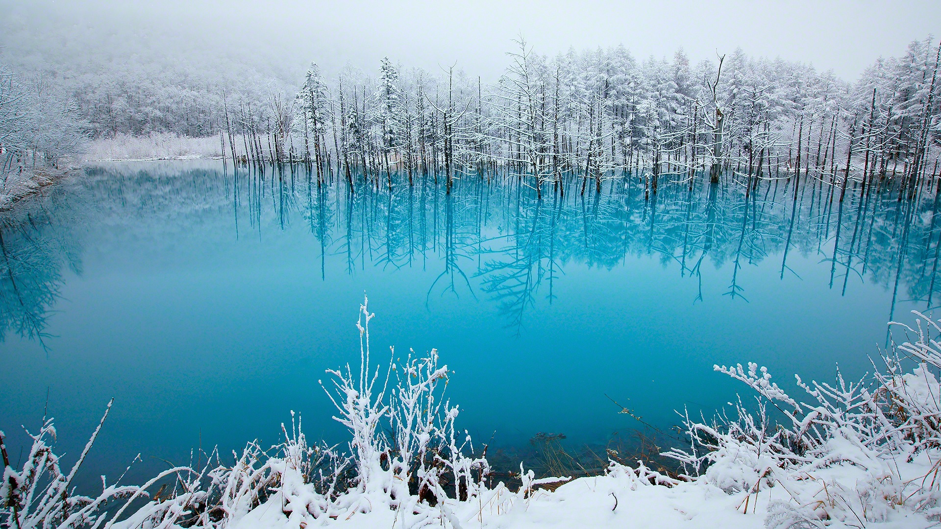 Hd Widescreen - Blue Lake In Japan , HD Wallpaper & Backgrounds