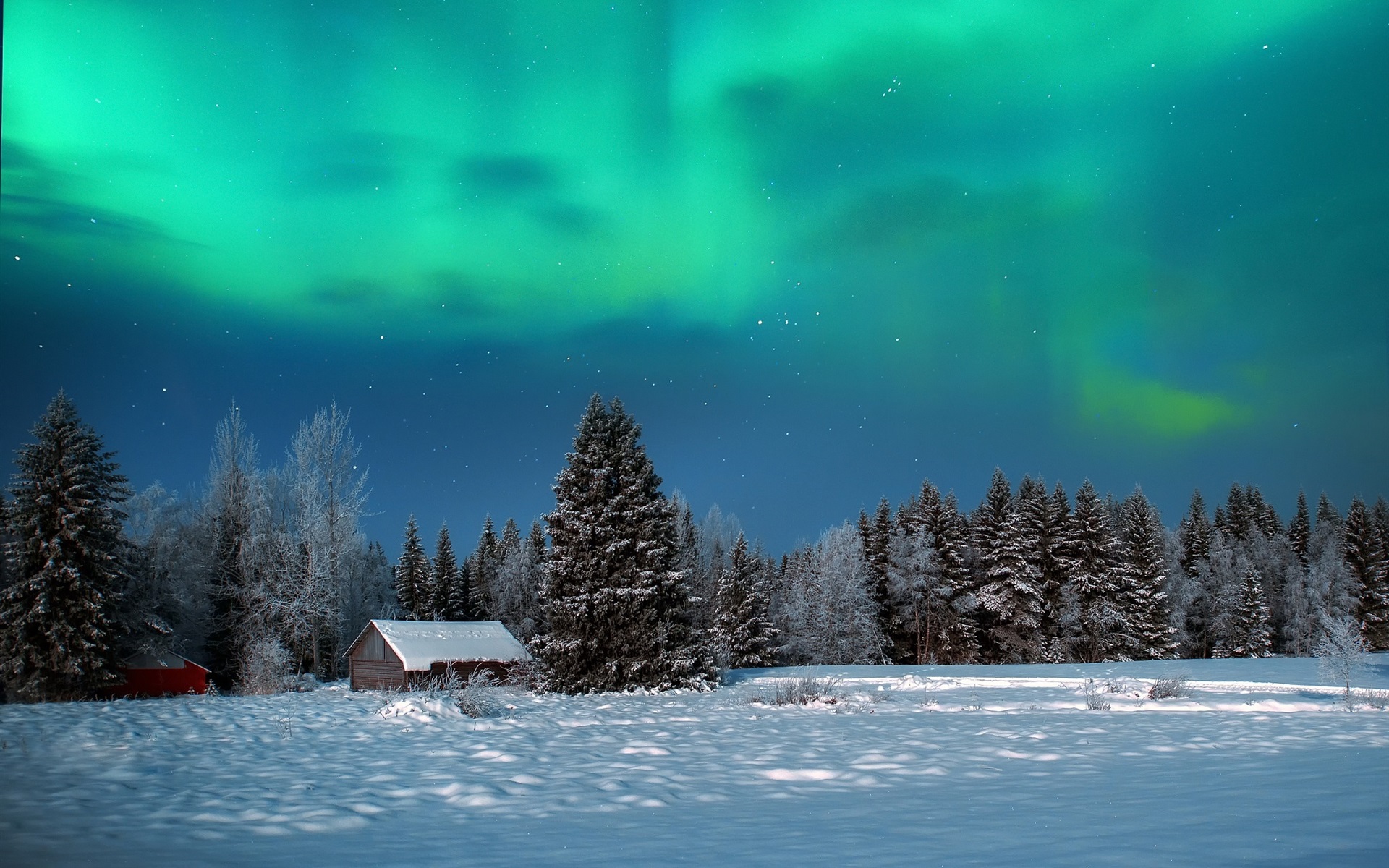 Download This Wallpaper - Aurora Boreal En La Nieve , HD Wallpaper & Backgrounds
