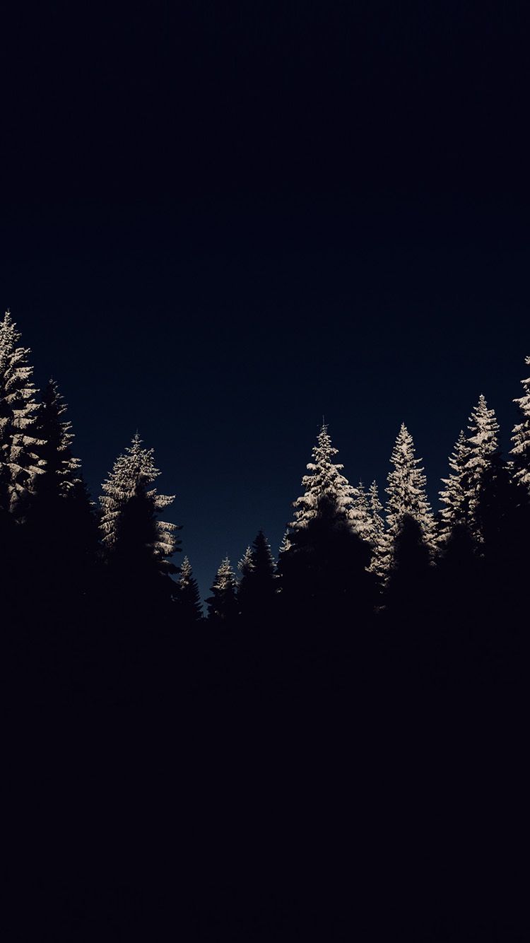 Wood Winter Night Mountain Dark Wallpaper Hd Iphone - Winter Lockscreen , HD Wallpaper & Backgrounds