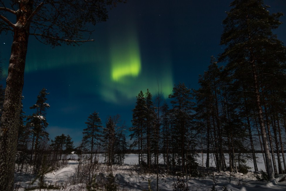 Northern Lights Aurora Winter Forest Night Trees Sky - Winter Northern Lights Phone , HD Wallpaper & Backgrounds