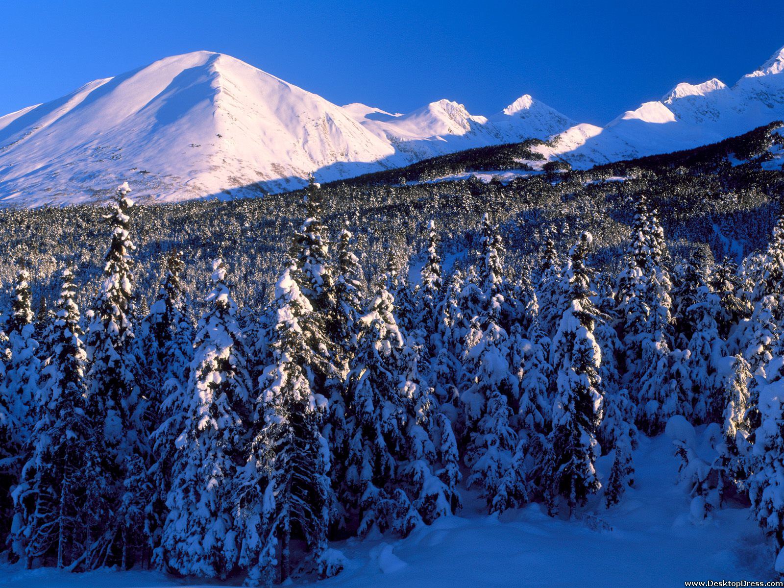 Kenai Mountains, Canyon Creek, Alaska - Alaska Nature Winter , HD Wallpaper & Backgrounds