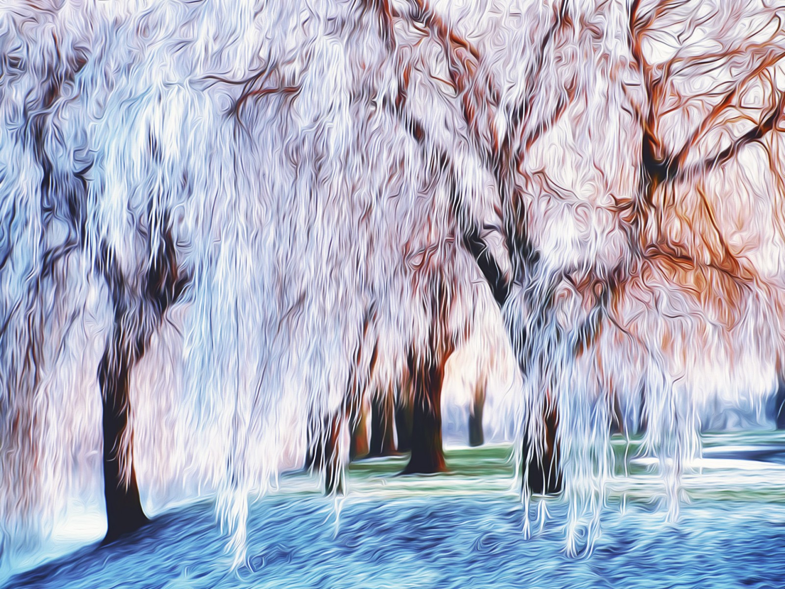 Weeping Willow In Snow , HD Wallpaper & Backgrounds