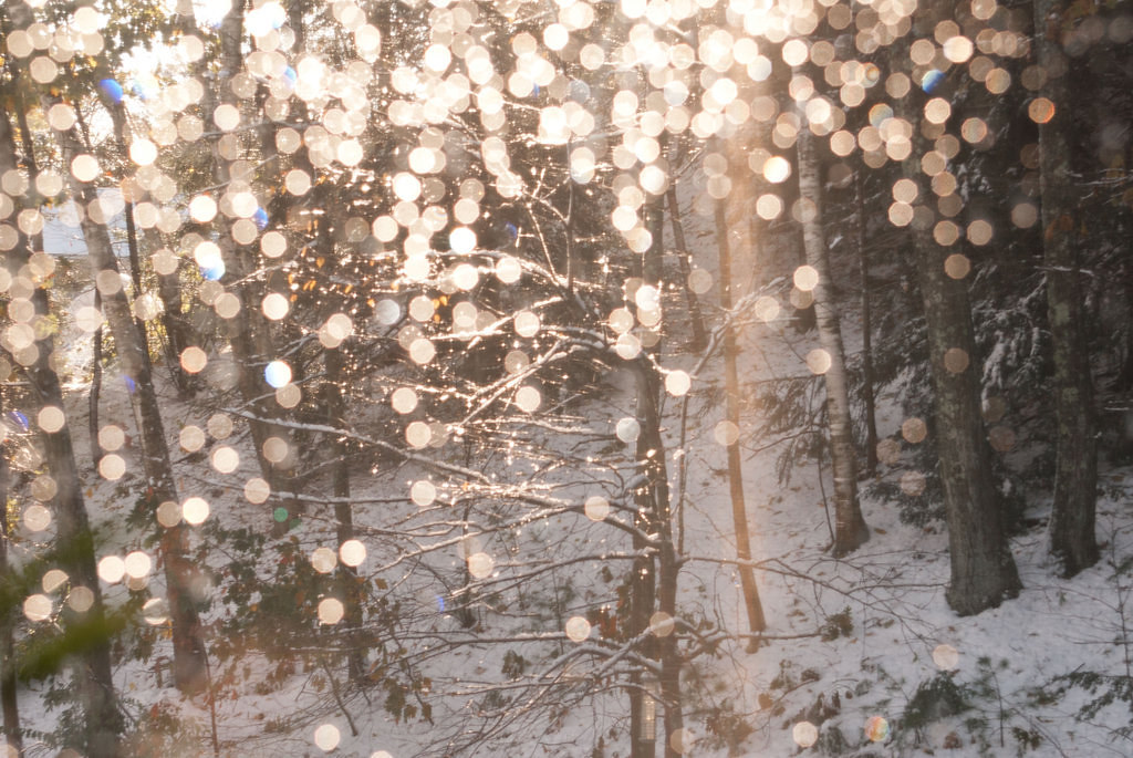 Photography Tumblr Winter Wallpaper Free Desktop - Snow And Fairy Lights , HD Wallpaper & Backgrounds