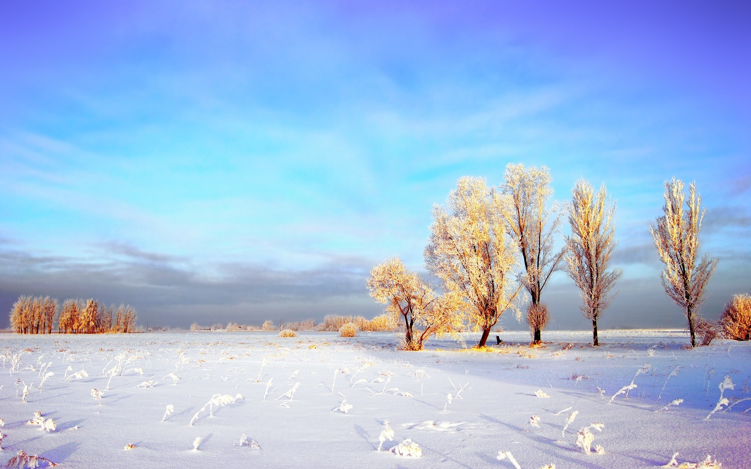 Snowy Winter Landscape Wallpapers - Landscape Winter , HD Wallpaper & Backgrounds