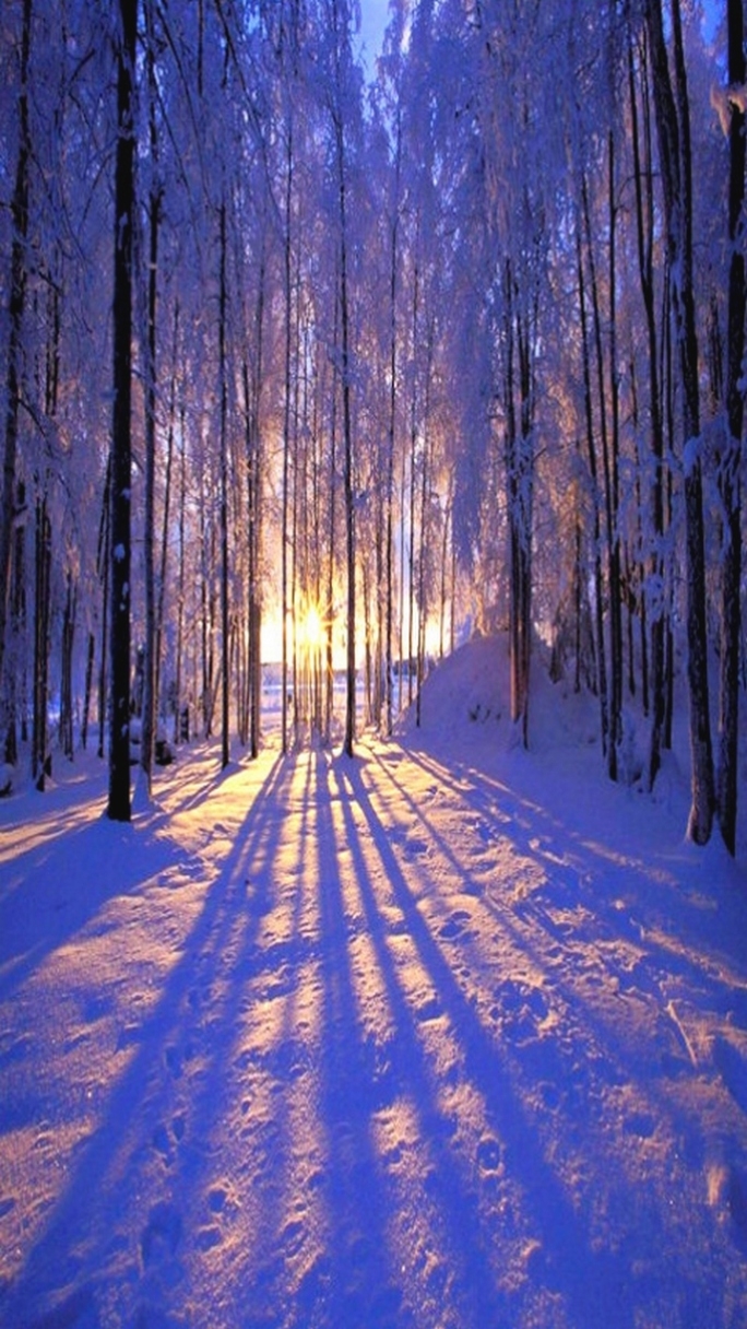 1000 Images About Winter On Pinterest - Winter Themed Wallpaper Galaxy , HD Wallpaper & Backgrounds