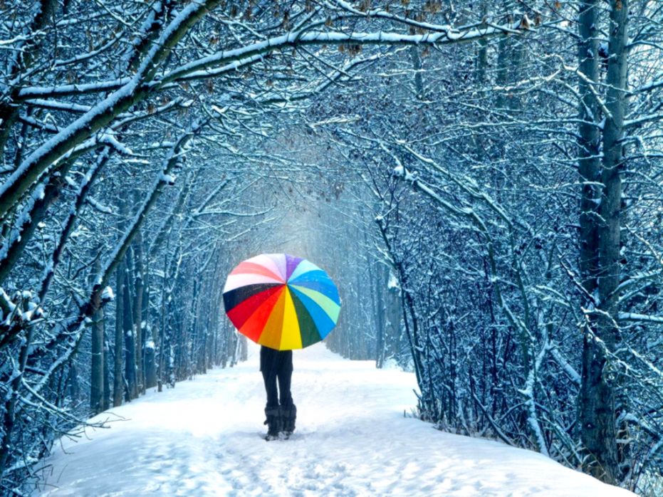 Walking With Colorful Umbrella Winter Wallpapers Truly - Colours For Whatsapp Dp , HD Wallpaper & Backgrounds