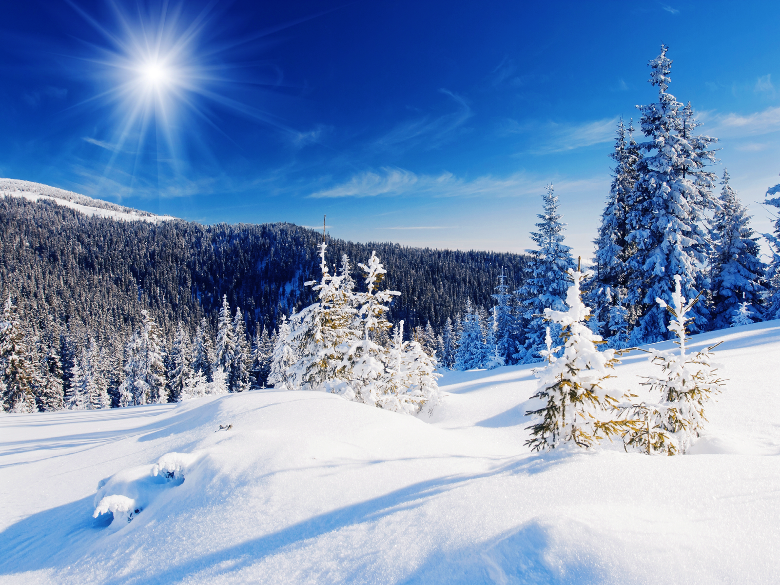 Colorado Snowy Landscape - Auli In December , HD Wallpaper & Backgrounds