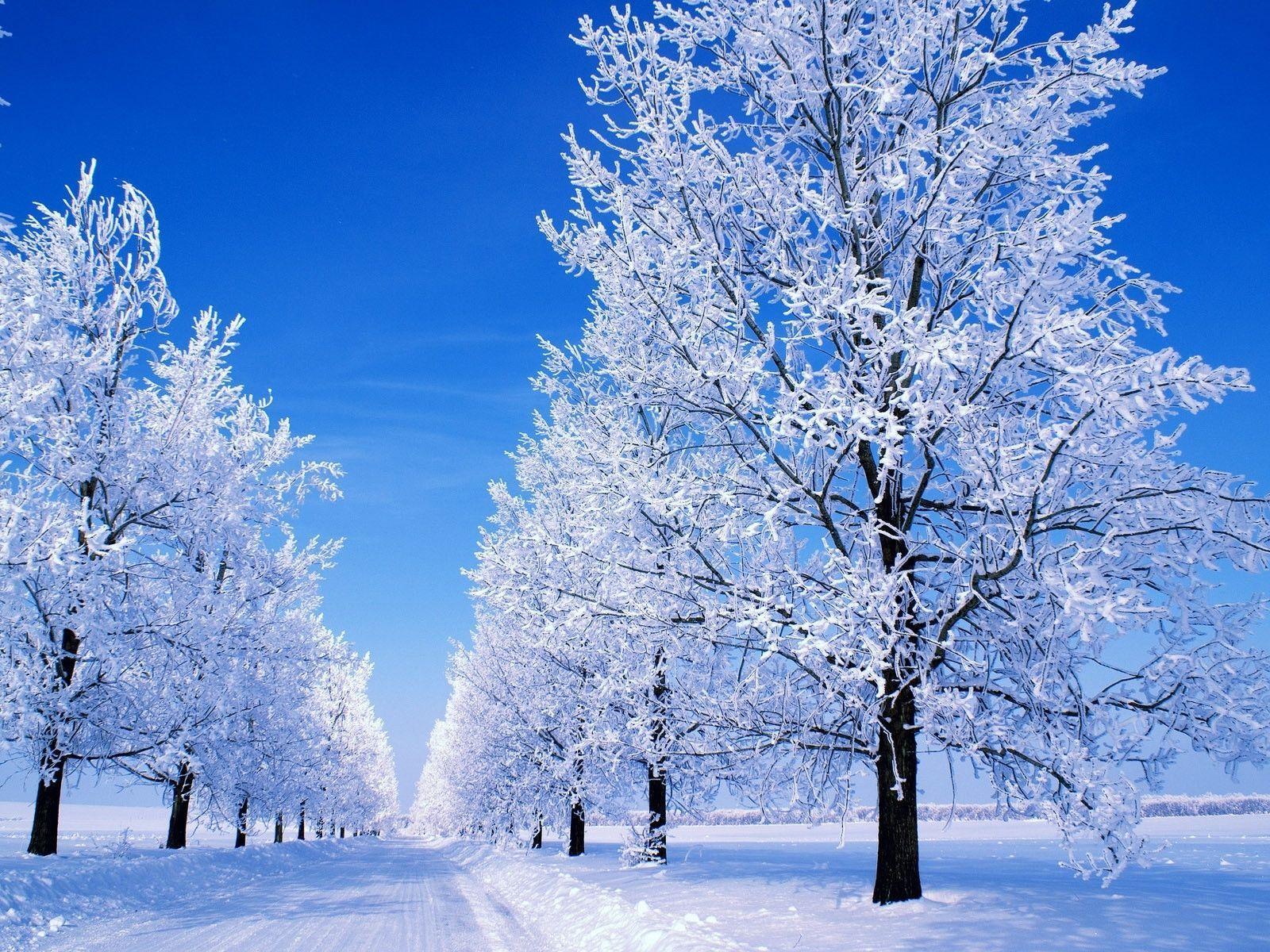 Snowy Scene Wallpaper - Serbia In The Winter , HD Wallpaper & Backgrounds