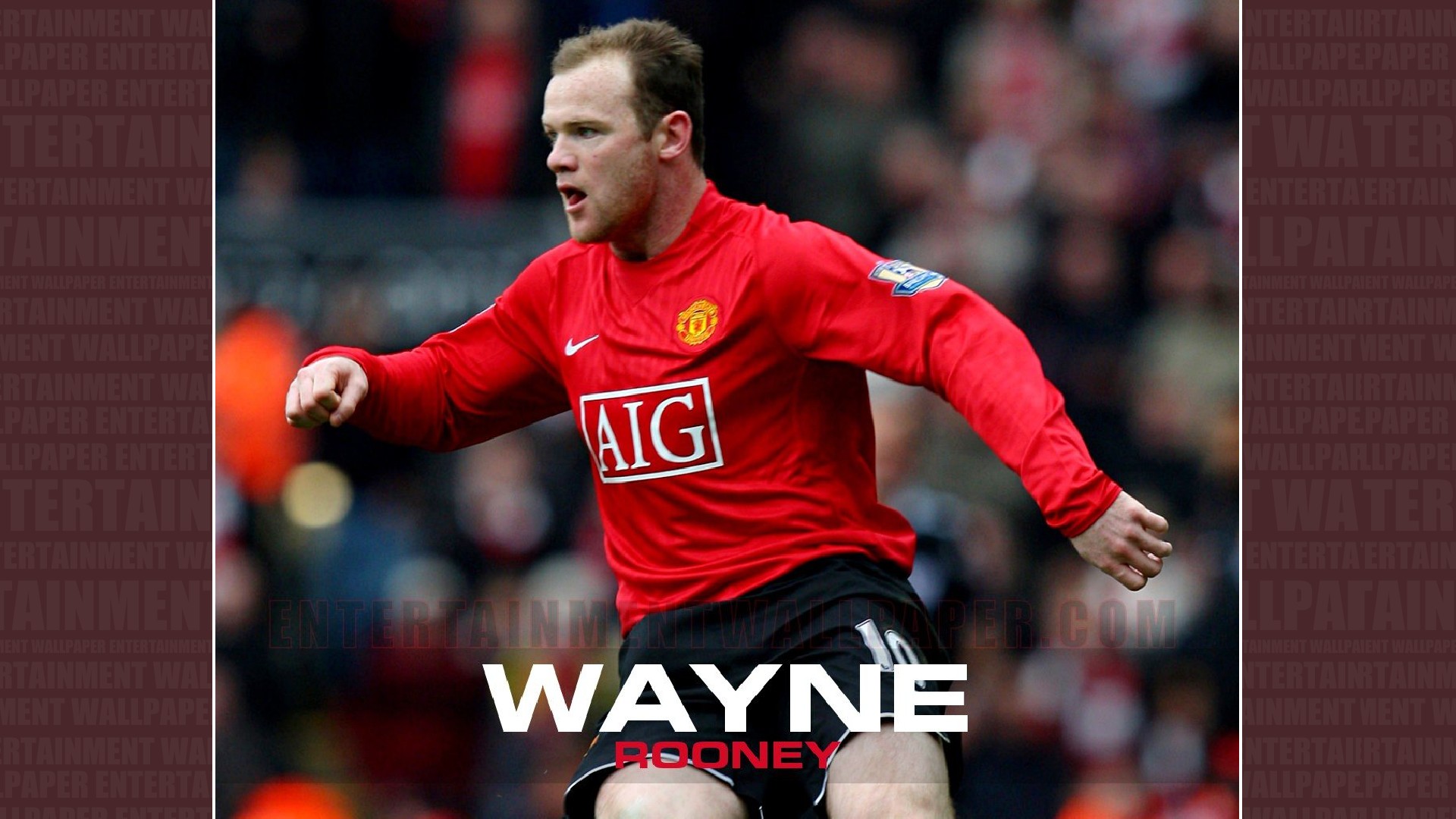 Wayne Rooney Wallpaper - Manchester United , HD Wallpaper & Backgrounds