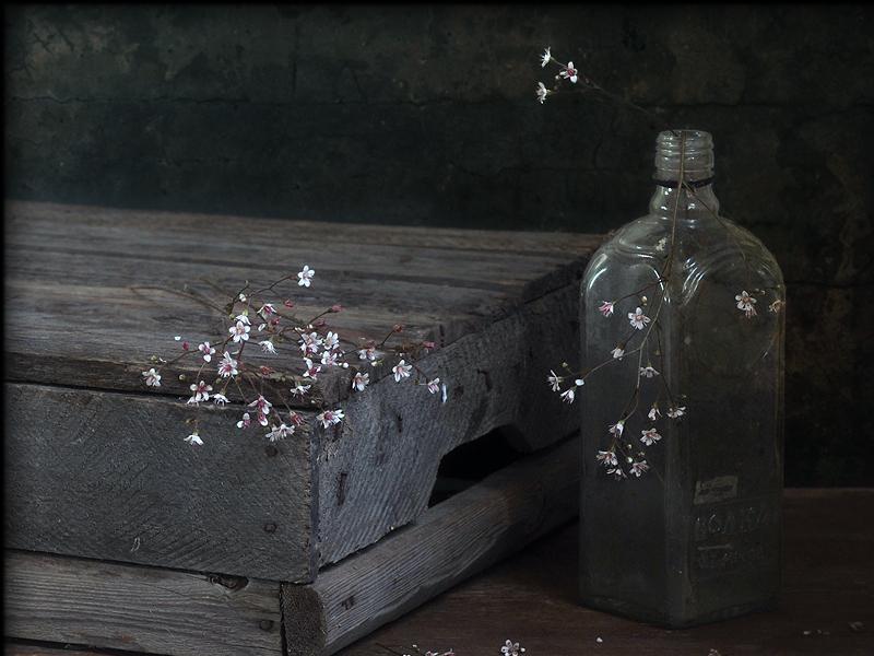 Simplicity Bottle Flower Still Life Wood Hd Wallpaper - Glass Bottle , HD Wallpaper & Backgrounds